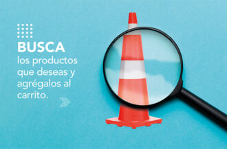 cotizacion_paso_2